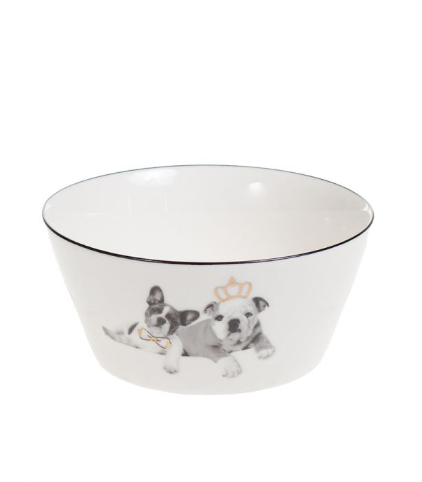 Kulho koira