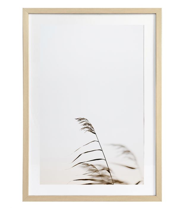 Taulu Grass 1 50x70cm DECO