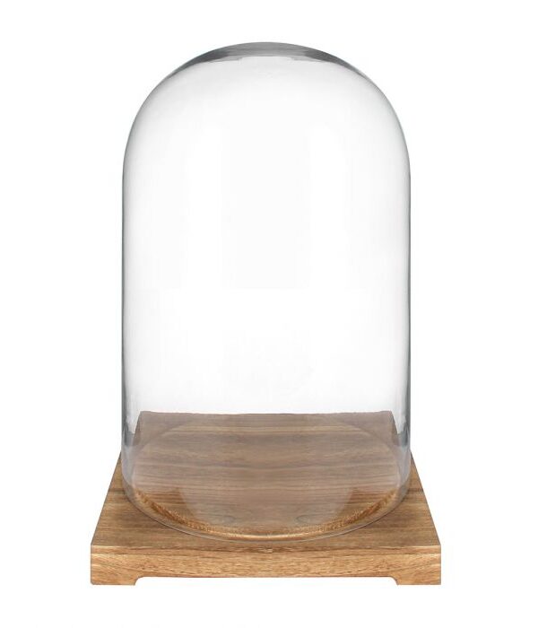 Lasikupu puualustalla GLASS - Kuva 1