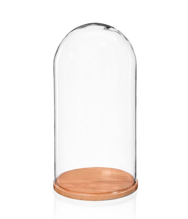Lasikupu alustalla 30cm GLASS - Kuva 1